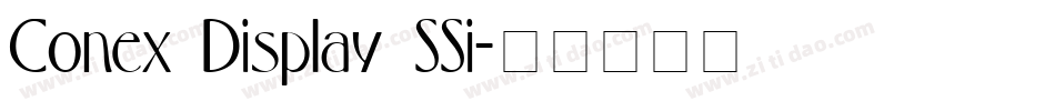 Conex Display SSi字体转换
